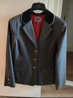 Wedstrijdjas incl plastron, Ophalen of Verzenden, Nieuw, Dressuur, Bovenkleding