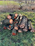 Haardhout op stam, Tuin en Terras, Haardhout, 6 m³ of meer, Ophalen, Elzenhout, Stammen