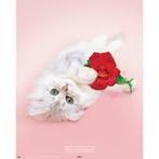 Keith Kimberlin - Kitten with red rose poster bij Superwens!, Verzamelen, Posters, Nieuw, Dier of Natuur, Ophalen of Verzenden