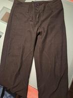 Capri zwarte broek, paardrijbroekstijl, Espresso, Zwart, Maat 42/44 (L), Ophalen of Verzenden