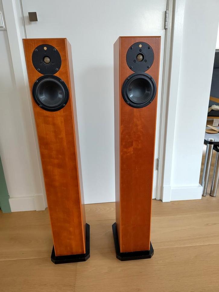 Totem Arro luidsprekers - Topkwaliteit!, Audio, Tv en Foto, Luidsprekers, Gebruikt, Front, Rear of Stereo speakers, 60 tot 120 watt