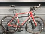Apex Onyx 0.8 Red Xl 2019, Gebruikt, Overige merken