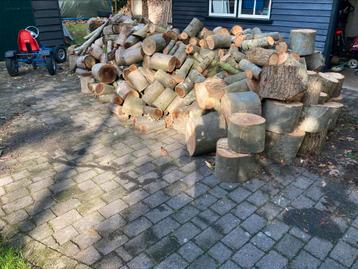 10m3 eiken en beuken gezaagd haardhout beschikbaar voor biedingen