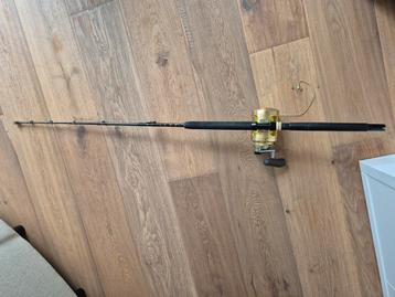 Goede Penn Hengel met Shimano Tiagra molen beschikbaar voor biedingen