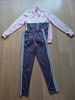 Nieuw Adidas trainingspak roze aubergine mt 176 met kaartje, Adidas, Meisje, Ophalen of Verzenden, Nieuw