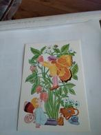 JOOST RIETVELD.   VLINDERS/ELFJES  BIJ. VRUCHTEN, Ophalen of Verzenden, 1980 tot heden