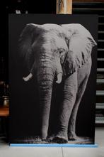 GROOT aluminium schilderij Single Power olifant 120 x 180 cm, Huis en Inrichting, Ophalen, 125 cm of meer, Zo goed als nieuw, Schilderij