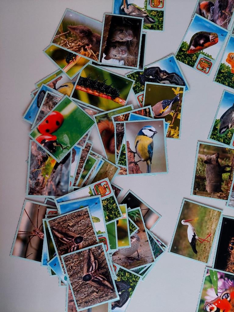 Boni Dierenstickers - Grote Stapel, Ophalen of Verzenden, Nieuw, Winkel of Supermarkt