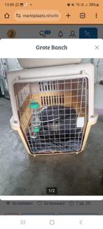 Grote Banch, Dieren en Toebehoren, Ophalen