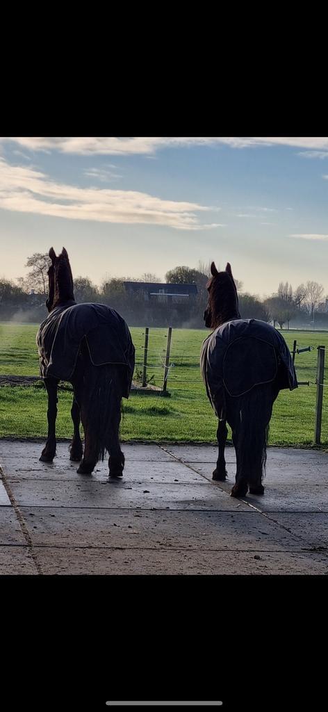 Verzorger gezocht, Dieren en Toebehoren, Paarden en Pony's | Verzorgingsproducten, Ophalen of Verzenden
