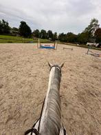 Stalhulp/groom/bijrijder gezocht, Ophalen, Nieuw, Overige soorten