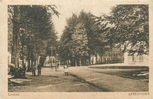 (300-456-003) Apeldoorn Loolaan, Verzamelen, Ansichtkaarten | Nederland, Gelderland, Verzenden