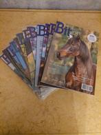 Bit magazine, Ophalen of Verzenden, Zo goed als nieuw