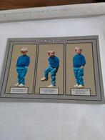 DRENTE   BARTJE. 1991, Ophalen of Verzenden, 1980 tot heden, Overige thema's