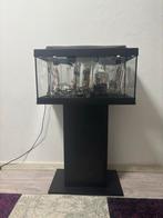Aquarium, Dieren en Toebehoren, Vissen | Aquaria en Toebehoren, Ophalen of Verzenden, Zo goed als nieuw, Leeg aquarium