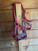 Halster maat mini/veulen, Ophalen of Verzenden, Zo goed als nieuw, Overige soorten