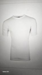 Heren hemd korte mouw Tino Beeren, Kleding | Heren, Ondergoed, Hemd, Wit, Onbekend, Ophalen of Verzenden