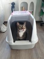 Kattenbak pink with lid and filter, Dieren en Toebehoren, Ophalen, Gebruikt