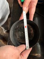 RVS Rookkapje voor rookkanaal 13,5 cm doorsnee, Doe-het-zelf en Verbouw, Buizen en Afvoer, Ophalen, Gebruikt, Overige typen, Rvs