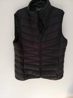 Body warmer Kelvik Neeltje zwart nylon maat L/40, Ophalen of Verzenden, Zo goed als nieuw, Maat 38/40 (M), Zwart