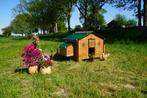 Trespa Kippenhok / Chalet 4XL - Cucciolotta, Dieren en Toebehoren, Pluimvee | Toebehoren, Ophalen of Verzenden, Nieuw, Kippenhok of Kippenren