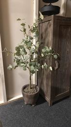 Kunst eucalyptus plant, Ophalen of Verzenden