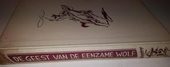 Arendsoog 12: De geest van de eenzame wolf - Jan Nowee, Boeken, Kinderboeken | Jeugd | 13 jaar en ouder, Gelezen, Ophalen of Verzenden
