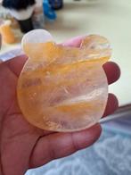 Berenhoofd van golden healer, Ophalen of Verzenden