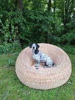 Vintage design fauteuil birdnest Isamu Kenmochi stijl japand, Gebruikt, Bruin, Vintage, Riet of Rotan