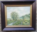 Grazende koeien in Hollands weidelandschap. 70/60 cm., Ophalen, Zo goed als nieuw, Schilderij, 50 tot 75 cm