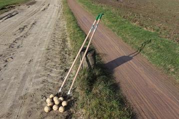 Familie spel klootschieten buiten springkussen touwtrekken  beschikbaar voor biedingen