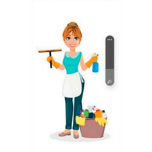 Ervaren schoonmaakster aangeboden, Vacatures, Vacatures | Schoonmaak en Facilitaire diensten, MBO, Vanaf 3 jaar, Overige vormen