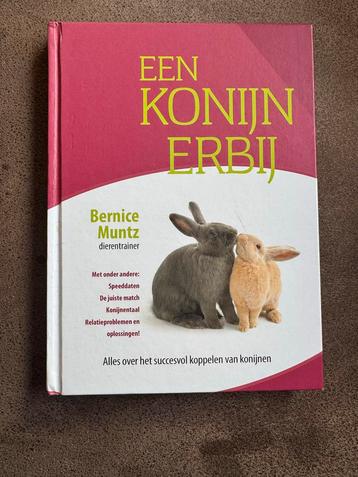Bernice Muntz - Een konijn erbij beschikbaar voor biedingen