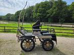 Menwagen, Dieren en Toebehoren, Rijtuigen en Koetsen, Gebruikt, Marathonwagen, Paard