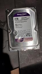 WD Purple 2TB HDD - Bewakingscamera Harde Schijf, Computers en Software, Harde schijven, Intern, 2TB, Server, Zo goed als nieuw