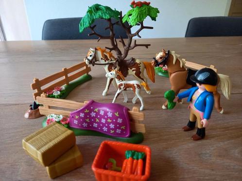 Playmobil Paddock met paardenfamilie - 5227 COMPLEET, Kinderen en Baby's, Speelgoed | Playmobil, Zo goed als nieuw, Complete set