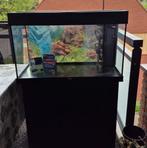 Aquarium met meubel., Dieren en Toebehoren, Ophalen, Gebruikt, Leeg aquarium