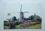 Krabbendijke  ( Zld. ) Molen De Rozeboom, Verzenden, 1980 tot heden, Gelopen, Zeeland