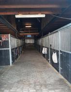 Stalling aangeboden, Weidegang