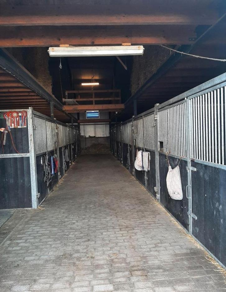 Stalling aangeboden, Dieren en Toebehoren, Stalling en Weidegang, Stalling, Weidegang