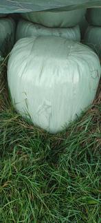 Midi Kuilbalen te koop, Dieren en Toebehoren, Dierenvoeding, Ophalen, Vee