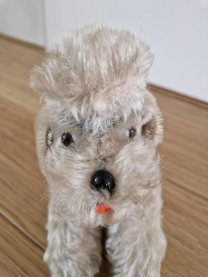 Steiff poedel type Snobby, 22 cm hoog, Antiek en Kunst, Antiek | Speelgoed, Ophalen