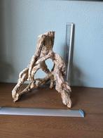 Aquarium ornamenten en stenen, Ophalen of Verzenden, Plant(en), Steen of Hout