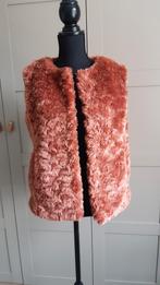 Roest bruin bodywarmer, Ophalen of Verzenden, Zo goed als nieuw, Maat 34 (XS) of kleiner, Bruin