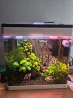 Superfish panorama aquarium 30liter, Dieren en Toebehoren, Vissen | Aquaria en Toebehoren, Ophalen of Verzenden, Zo goed als nieuw