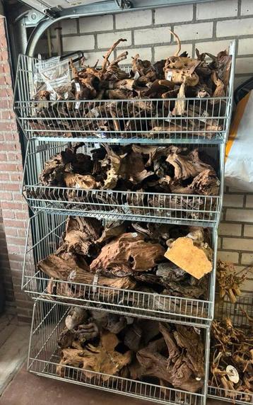 Heel veel kienhout, spiderwood en kunsstof decoratie hout beschikbaar voor biedingen