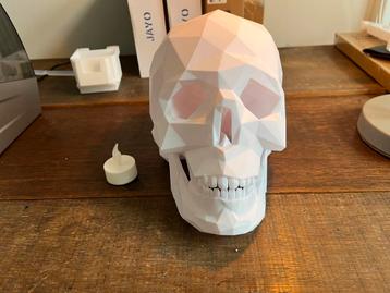 Grote ge 3d printe schedel beschikbaar voor biedingen