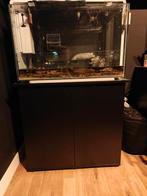 Juwel aquarium kast Rio 125, Dieren en Toebehoren, Vissen | Aquaria en Toebehoren, Ophalen, Zo goed als nieuw, Overige typen