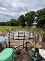 Stapmolen, Dieren en Toebehoren, Stalling en Weidegang, Weidegang, 4 paarden of pony's of meer