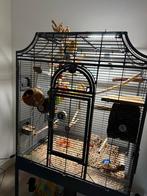 Montana Madeira 2, Ophalen, Nieuw, Metaal, Vogelkooi